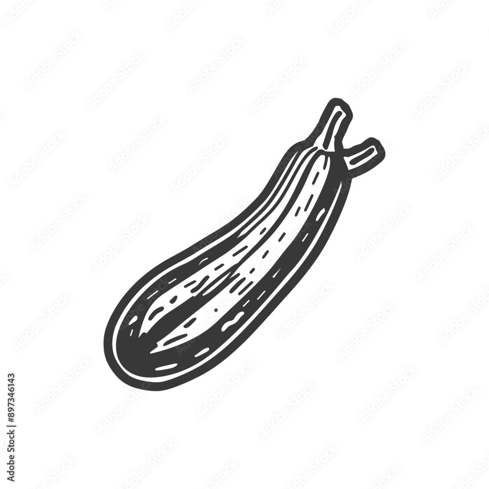 Hand drawn Illustration of a Single Zucchini Hand drawn Illustration of a Single Zucchini