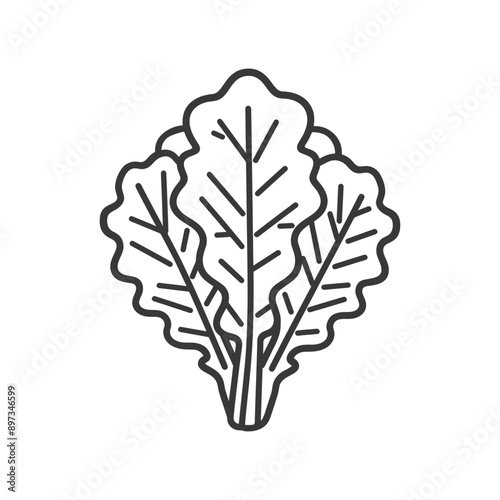 Line art illustration of three lettuce leaves
