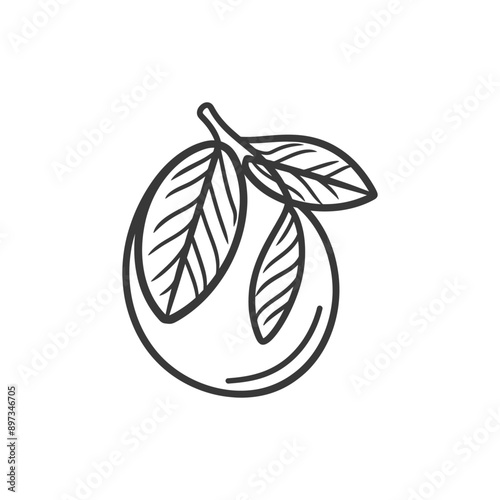Hand drawn outline of a guava fruit with leaves