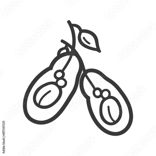 Line Drawing of Two Avocados with Pits and a Leaf