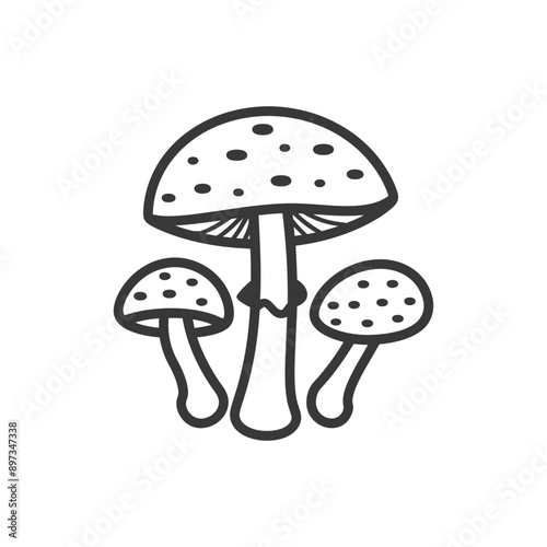 Three Black and White Line Drawing Mushrooms