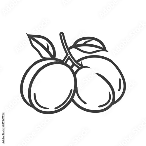 Two Plums with Stem and Leaves