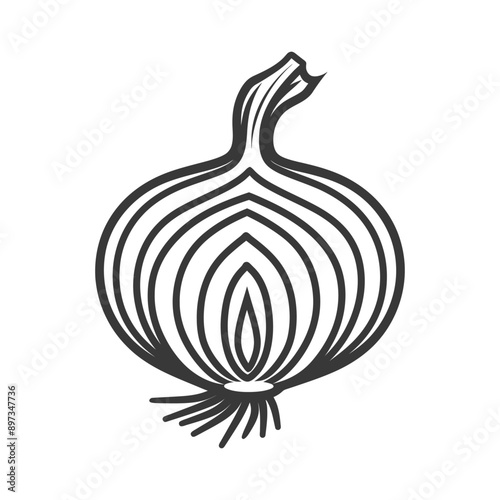 Black and White Line Drawing of an Onion
