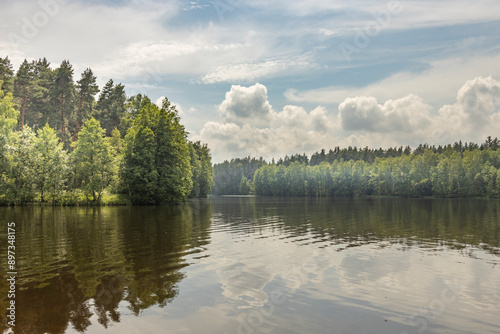 Fototapeta Naklejka Na Ścianę i Meble -  A calm lake with trees in the background