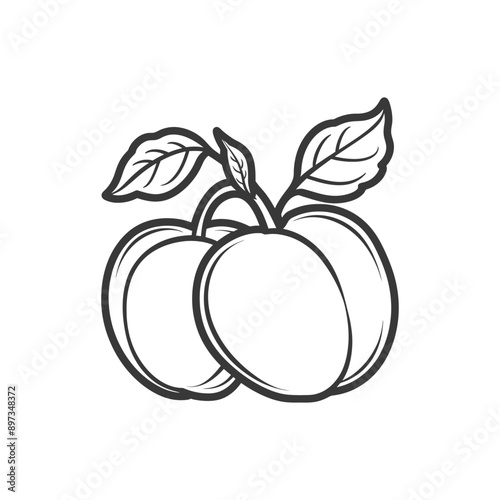 Line Drawing of Two Plums with Leaves