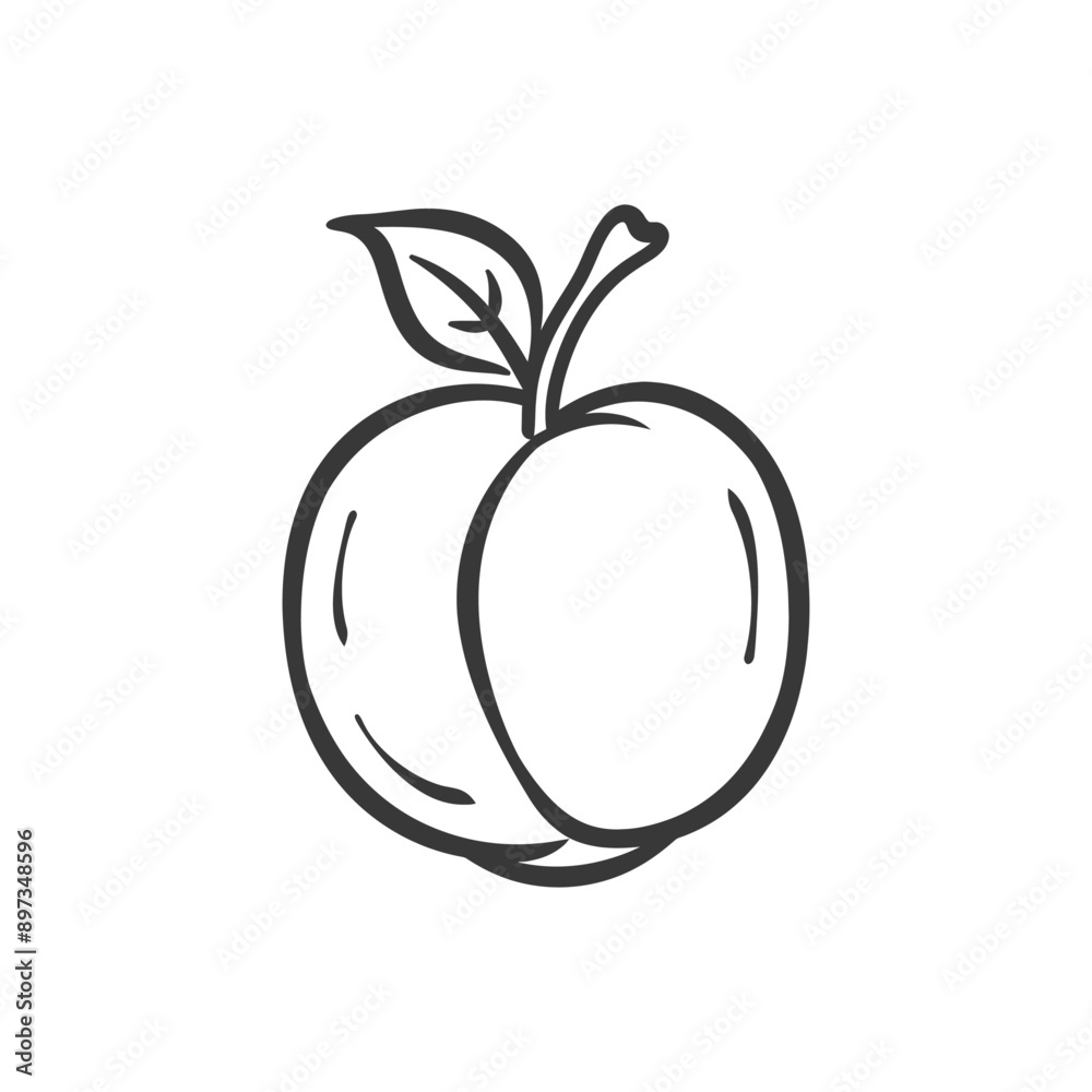 Hand drawn outline of a single peach with a leaf Hand drawn outline of a single peach with a leaf
