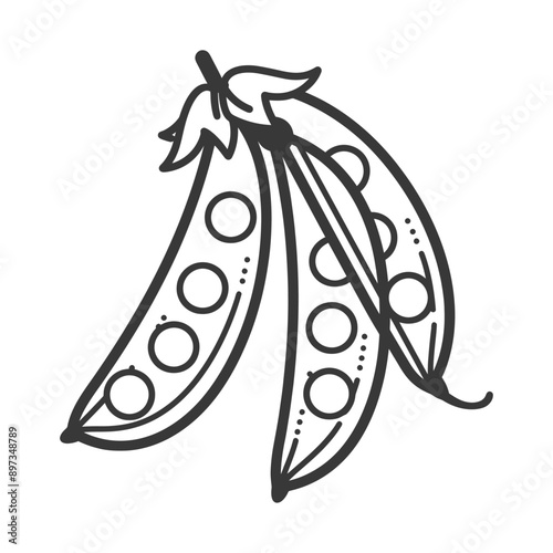 Hand Drawn Outline of Green Pea Pods with Peas Inside