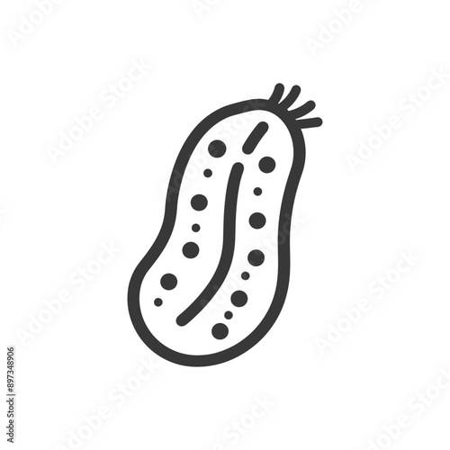Line Drawing of a Single Celled Organism with Internal Structures
