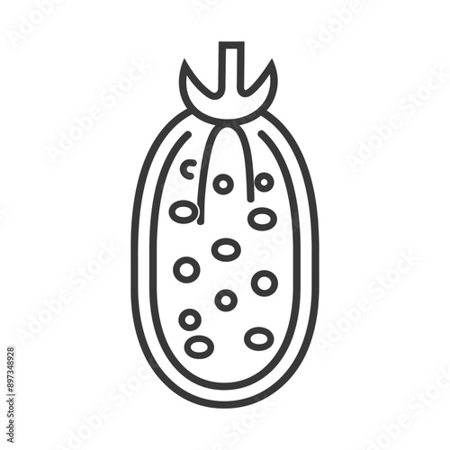 Line drawing of a cutaway of a tomato