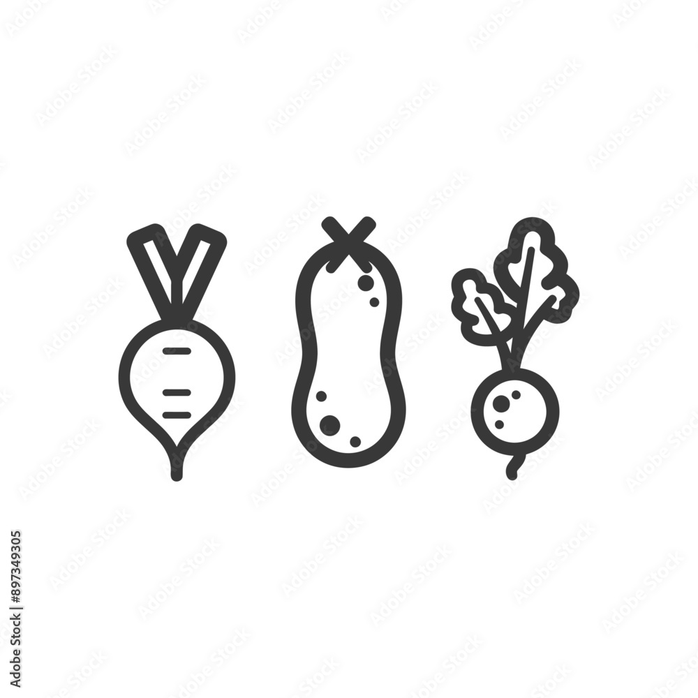 Obraz premium Black and White Line Drawings of Turnips a Peanut and Radishes