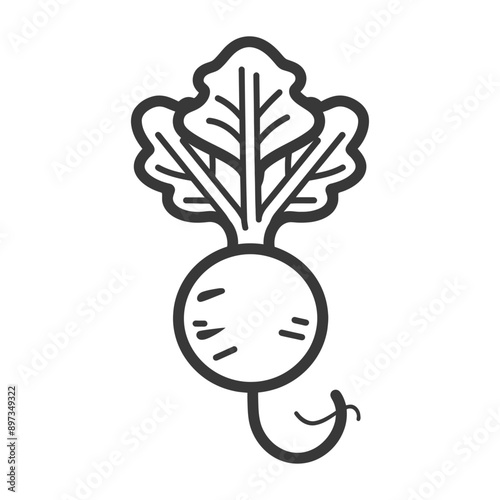 A Line Drawing of a Single Radish