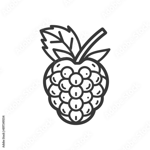 Line drawing of a single raspberry with a leaf