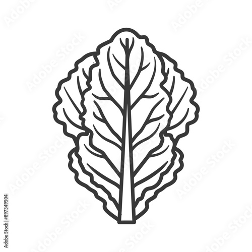 Line art illustration of a single leaf of green leafy lettuce