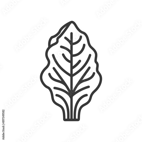 Line drawing of a single leaf of spinach or chard