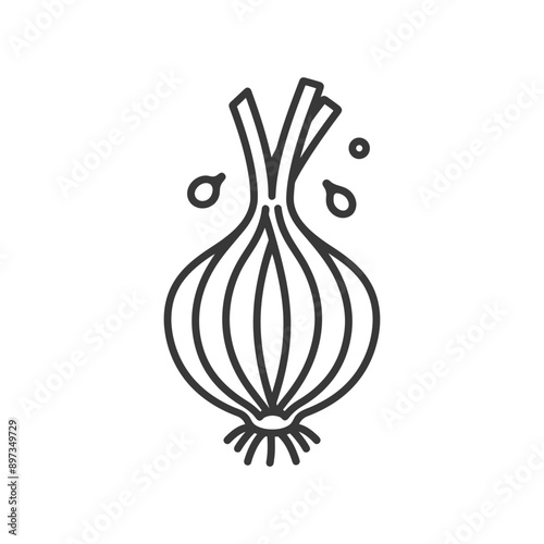 Line drawing of an onion with a white background
