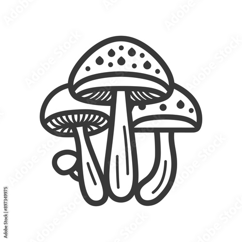 Three Mushrooms with Dotted Caps and Striped Stems
