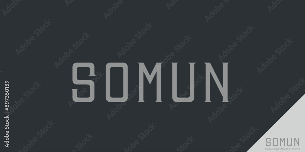 Obraz premium Elegant Modern Serif Alphabet Font Set – Minimalist and Classic Lettering 