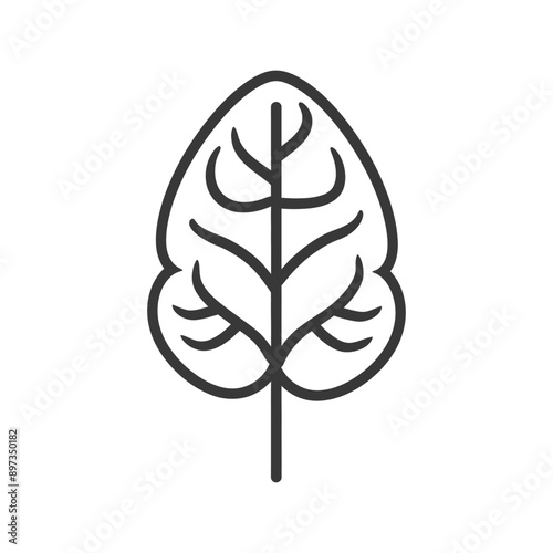 Line drawing of a single spinach leaf