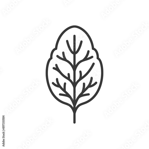 Line art illustration of a single spinach leaf