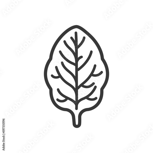 Line drawing of a single spinach leaf