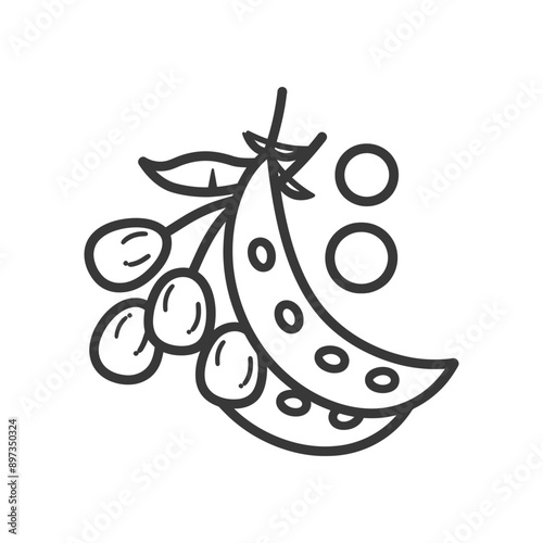 Hand drawn illustration of a pea pod with peas and a sprig of cherry tomatoes
