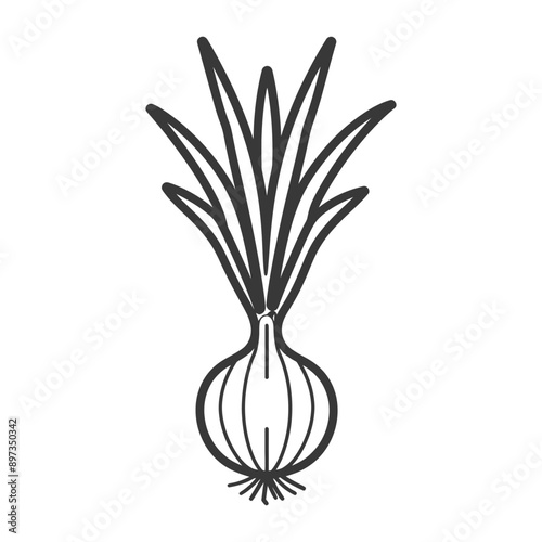 Line drawing of an onion with green leaves