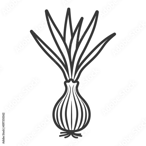 A Single Whole Onion with Green Shoots