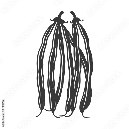 Three Black and White Hand Drawn Green Beans