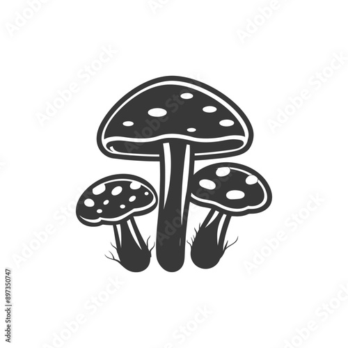 Three Black and White Spotted Mushrooms