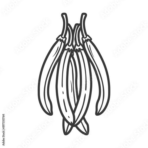 Line Drawing of Four Dried Okra Pods