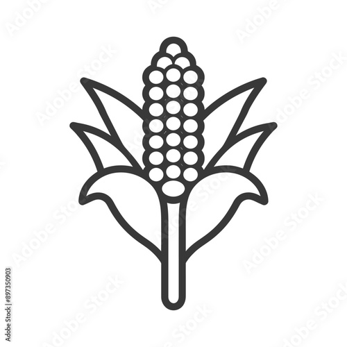 Line art illustration of an ear of corn with leaves