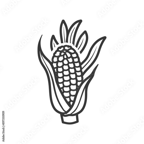 A Single Ear of Corn with Husks