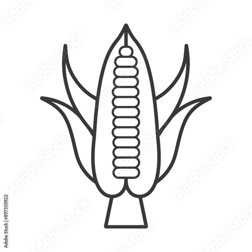 Line drawing of a single ear of corn with husks