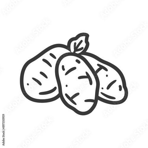 A hand drawn illustration of three potatoes with a leaf