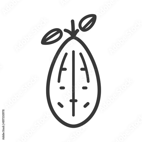 Line Art Illustration of a Single Almond with Leaves