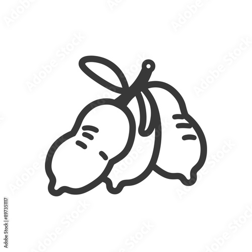 A Line Drawing of Three Peanuts with a Stem