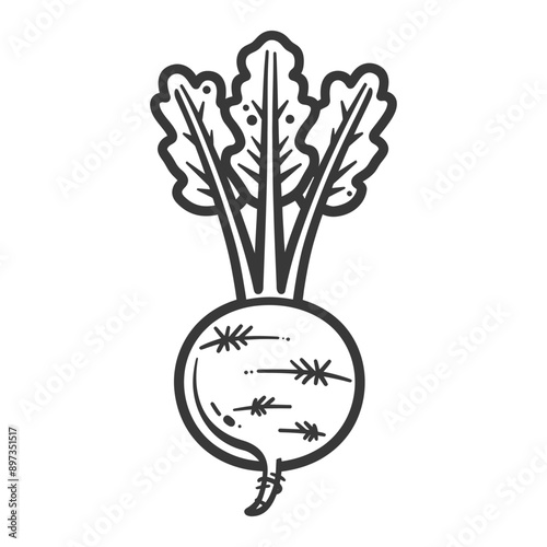 A line drawing of a beet with three leaves