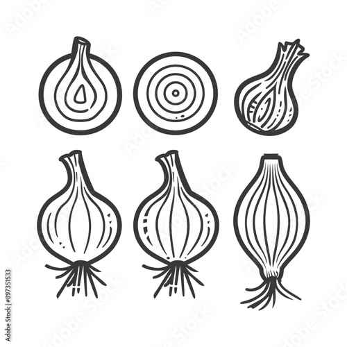 Hand Drawn Illustration of Onions in Different States