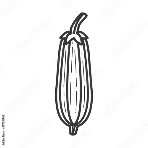 Line Drawing of a Single Zucchini