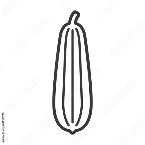 Line drawing illustration of a single zucchini squash