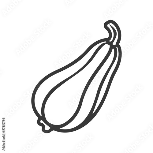 Hand drawn Outline Illustration of a Butternut Squash