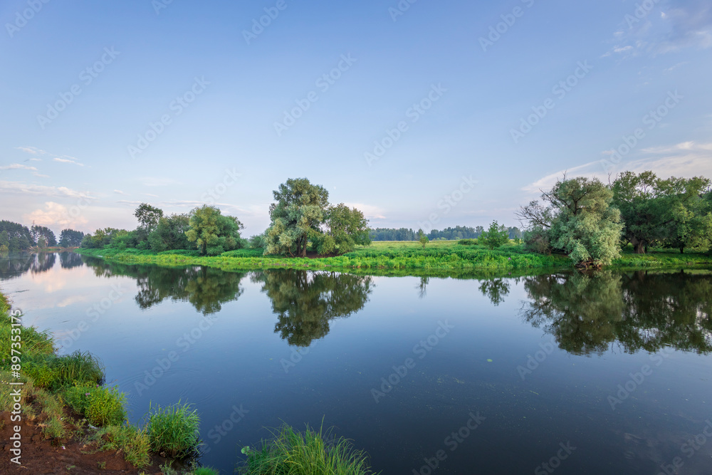 Fototapeta premium A calm river with trees on both sides