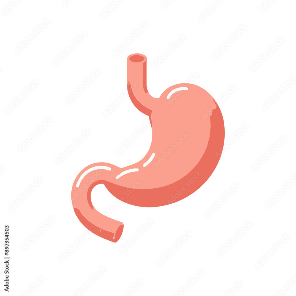 Gastroenteralgia stomach human organ flat design Gastroenteralgia stomach human organ flat design