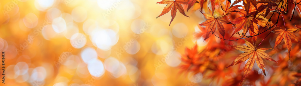 A beautiful close-up of vibrant autumn leaves with a warm golden bokeh background, capturing the essence of the fall season. A beautiful close-up of vibrant autumn leaves with a warm golden bokeh background, capturing the essence of the fall season.