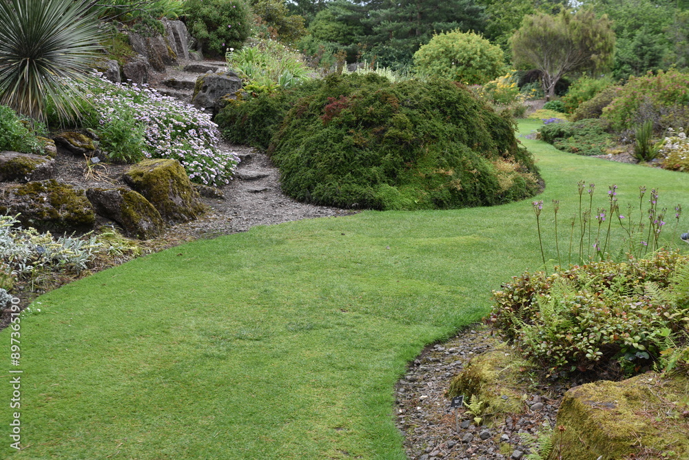 Obraz premium Allée gazonnée sinueuse au jardin