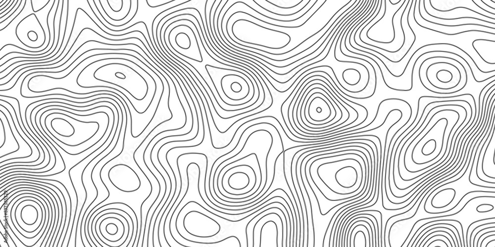 Fototapeta premium Abstract Topographic map background with wave line. Panorama view gradient multicolor wave curve lines banner background design. Vector illustration. wave Line topography map contour background.