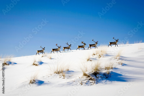 Festive Santa’s Sleigh with...