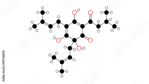 humulone molecule, structural chemical formula, ball-and-stick model, isolated image alpha acids photo