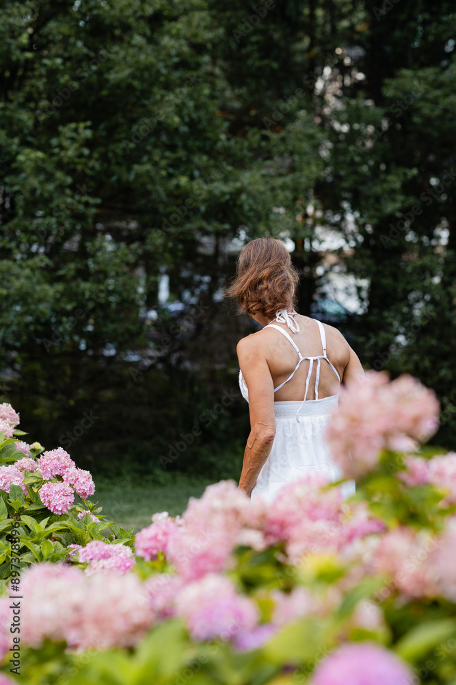 caucasian woman from behind, walking through her garden with pink hydrangea bushes in the foreground caucasian woman from behind, walking through her garden with pink hydrangea bushes in the foreground