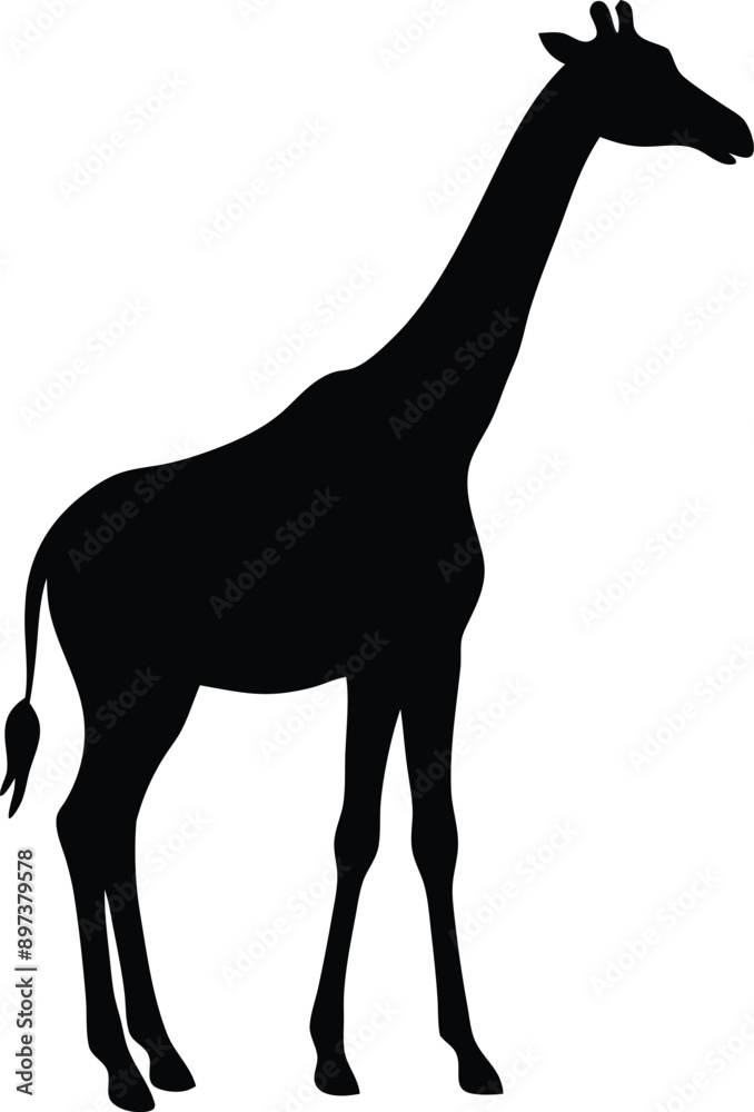 Fototapeta premium Giraffe silhouette vector